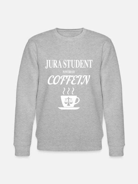 Jura Studium - Stanley/Stella Unisex Bio-Sweatshirt CHANGER - Grau meliert