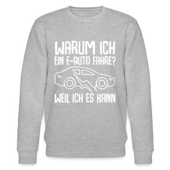 E-Auto Elektroauto - Stanley/Stella Unisex Bio-Sweatshirt CHANGER  - Grau meliert - Vorne - Nik (191cm) & Marisol (170cm)