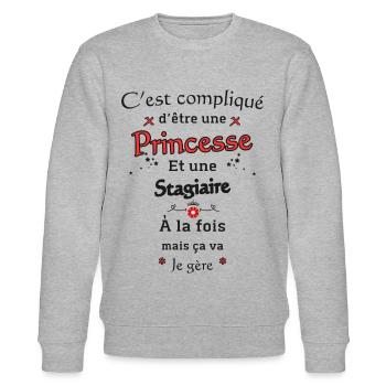 Princess Intern - Stanley/Stella CHANGER Unisex Organic Sweatshirt - heather grey - Front - Nik (191cm) & Marisol (170cm)