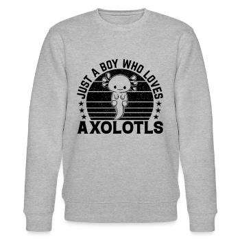 Axolotl Lover I Juste Un garçon qui aime Axolotls - Sweat bio CHANGER Stanley/Stella Unisexe - gris chiné - Devant - Nik (191cm) & Marisol (170cm)