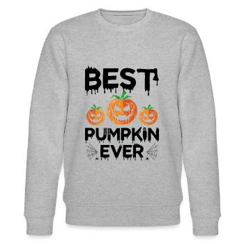 Best Pumpkin Ever - Halloween Pumpkin - Stanley/Stella Unisex Bio-Sweatshirt CHANGER  - Grau meliert - Vorne - Nik (191cm) & Marisol (170cm)