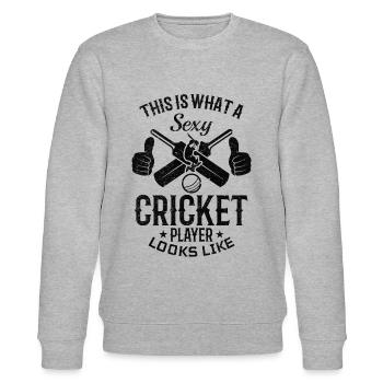 Voici à quoi ressemble un joueur de cricket sexy - Cr - Sweat bio CHANGER Stanley/Stella Unisexe - gris chiné - Devant - Nik (191cm) & Marisol (170cm)