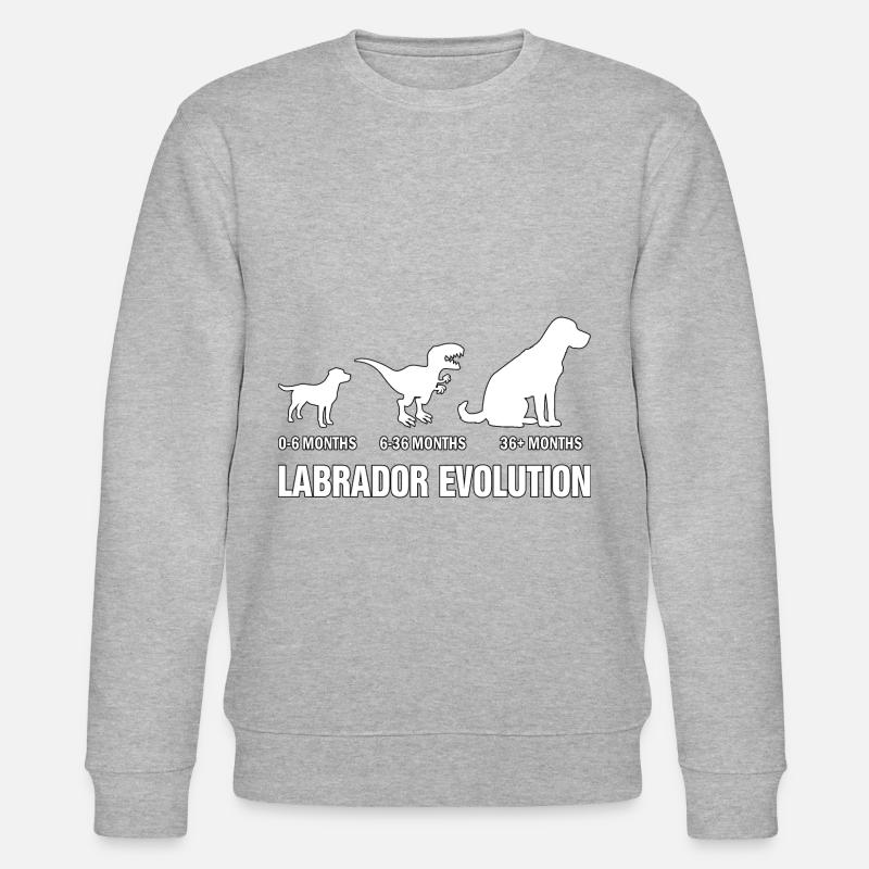 Labrador Evolution - Stanley/Stella CHANGER Unisex Organic Sweatshirt - heather grey