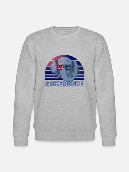 Ascension - Stanley/Stella CHANGER Unisex Organic Sweatshirt - heather grey
