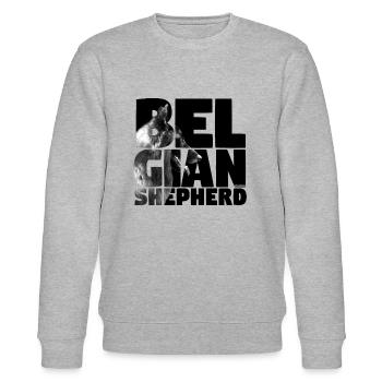 NASSU Belgian 03 - Stanley/Stella CHANGER Unisex Organic Sweatshirt - heather grey - Front - Nik (191cm) & Marisol (170cm)