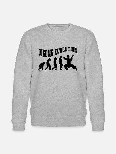 Qi-Gong Chigong Meditation Thai-Chi Evolution - Stanley/Stella CHANGER Unisex Organic Sweatshirt - heather grey
