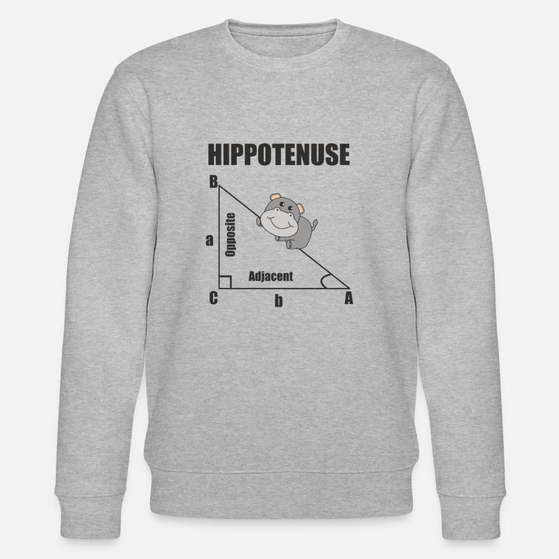 Nerd Geometry Hippotenuse Hypotenuse Math - Stanley/Stella CHANGER Unisex Organic Sweatshirt - heather grey