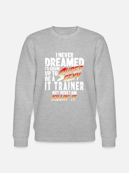 Super Sexy IT-Trainer IT-Training Geschenk - Stanley/Stella Unisex Bio-Sweatshirt CHANGER  - Grau meliert