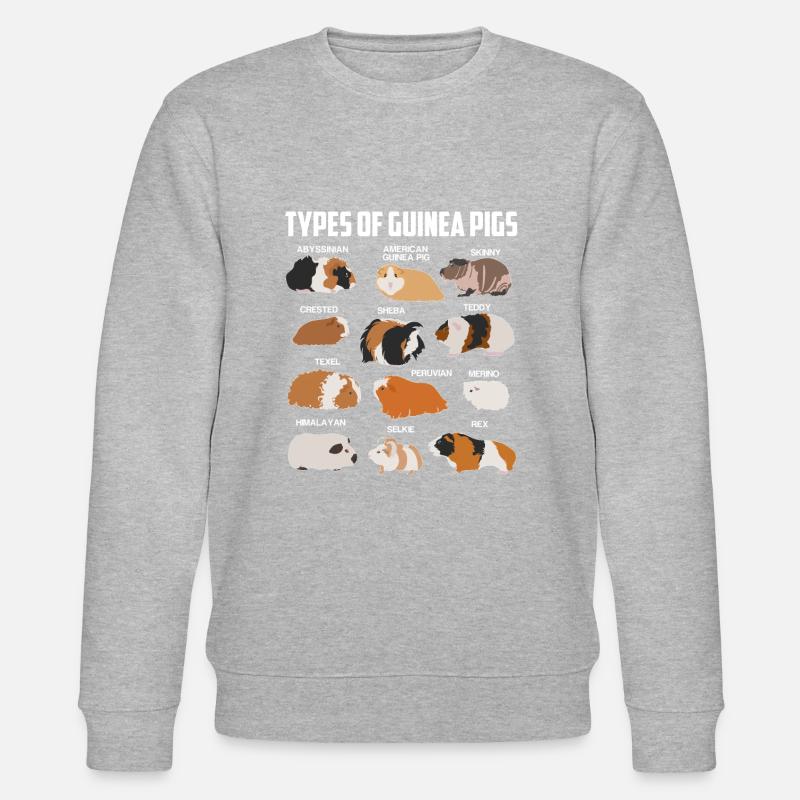 Espèces de cobaye - Sweat bio CHANGER Stanley/Stella Unisexe - gris chiné