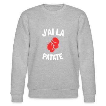 J'ai la patate humour boxe anniversaire sport - Sweat bio CHANGER Stanley/Stella Unisexe - gris chiné - Devant - Nik (191cm) & Marisol (170cm)