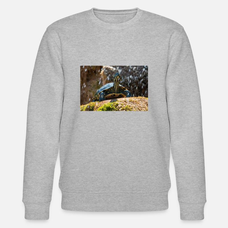 Trachemys scripta scripta scripta - Sweat bio CHANGER Stanley/Stella Unisexe - gris chiné