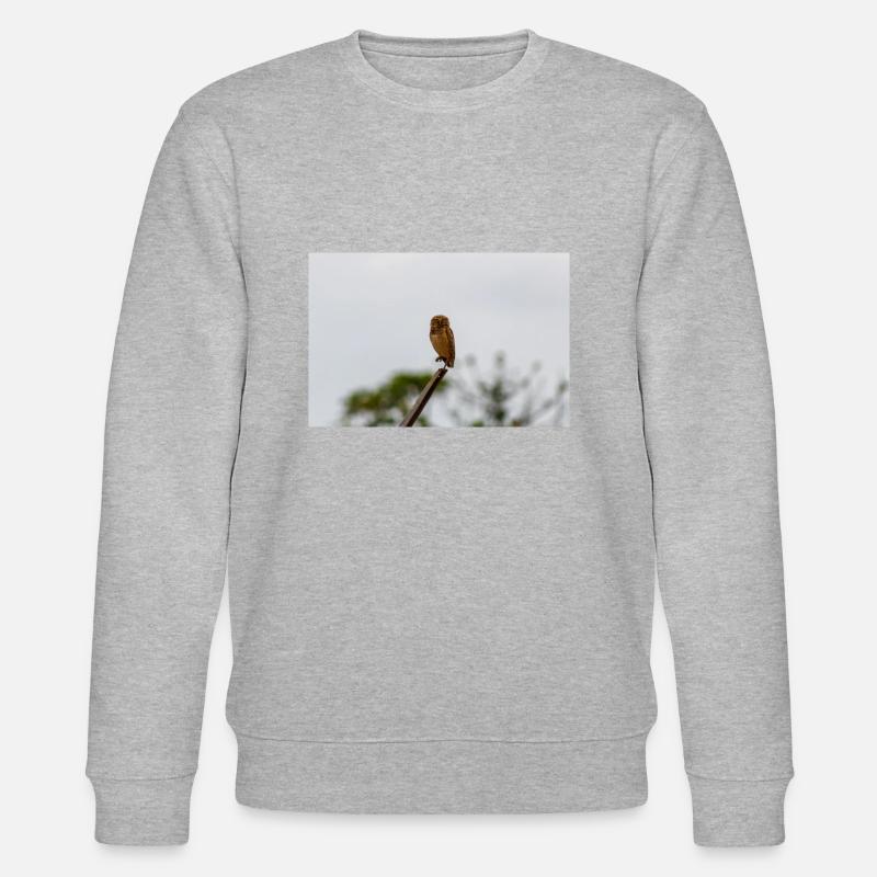 Die Eule - Stanley/Stella Unisex Bio-Sweatshirt CHANGER  - Grau meliert