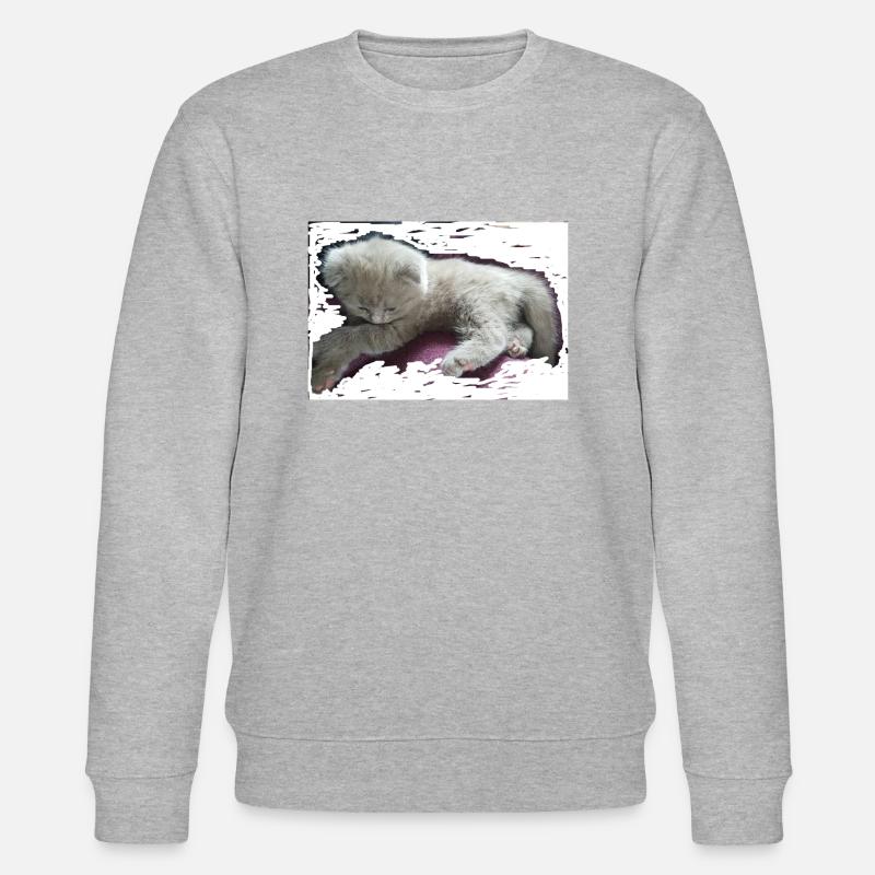 chat - Sweat bio CHANGER Stanley/Stella Unisexe - gris chiné