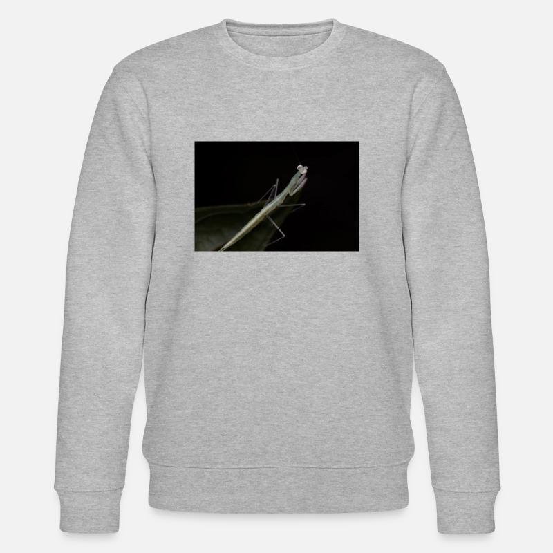 Sinomantis denticulata Nymphe - Glasmantis - Stanley/Stella Unisex Bio-Sweatshirt CHANGER  - Grau meliert