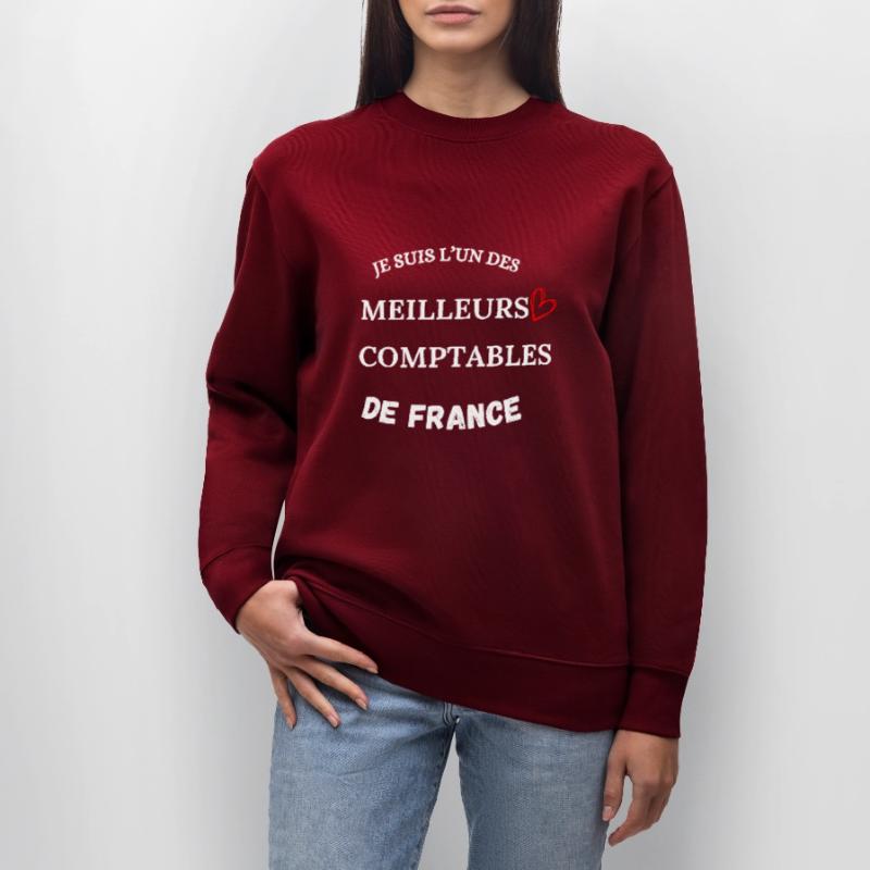 Comptable - Métier - Comptabilité Sweat bio CHANGER Stanley/Stella Unisexe