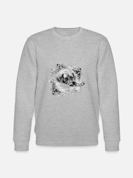 rhodesian ridgeback Hund,Hunderasse,graffiti - Stanley/Stella Unisex Bio-Sweatshirt CHANGER  - Grau meliert