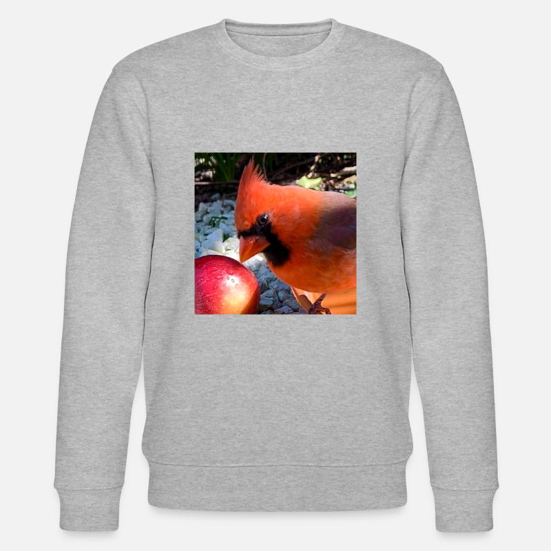 Cardinal du Nord - Sweat bio CHANGER Stanley/Stella Unisexe - gris chiné