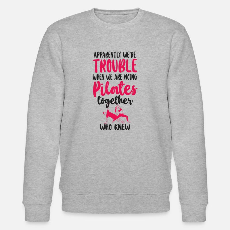 Instructeur de Pilates Professeur Amis - Sweat bio CHANGER Stanley/Stella Unisexe - gris chiné