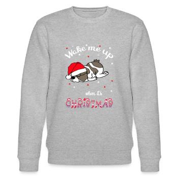 Wake me up when it's Christmas - Weihnachtsmotiv - Stanley/Stella Unisex Bio-Sweatshirt CHANGER  - Grau meliert - Vorne - Nik (191cm) & Marisol (170cm)