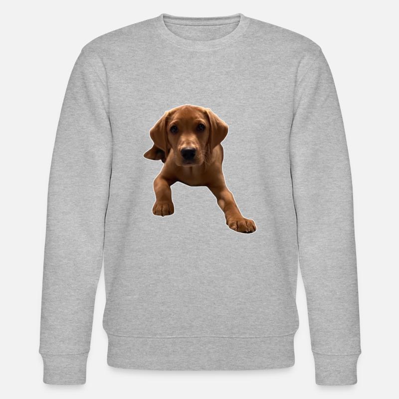 Vers le bas Dexter - Sweat bio CHANGER Stanley/Stella Unisexe - gris chiné