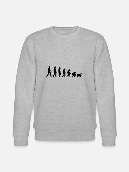 FUNNY EVOLUTION HUMANITY DARWIN - Stanley/Stella CHANGER Unisex Organic Sweatshirt - heather grey