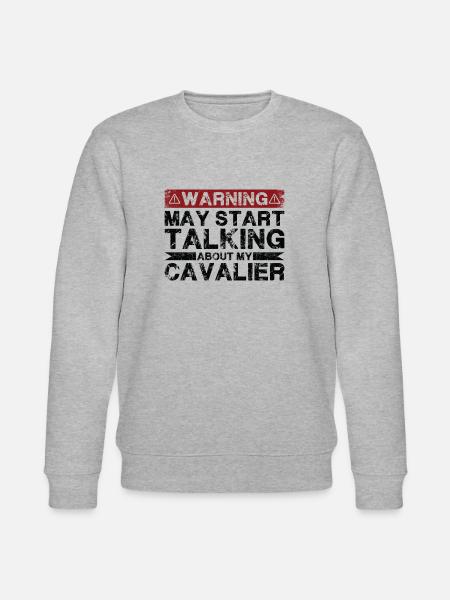Apropos Kavalier - Stanley/Stella Unisex Bio-Sweatshirt CHANGER  - Grau meliert