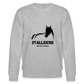Stallzicke - Stanley/Stella Unisex Bio-Sweatshirt CHANGER  - Grau meliert - Vorne - Nik (191cm) & Marisol (170cm)