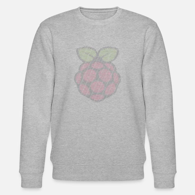 ASCII - Raspberry Pi - Sweat bio CHANGER Stanley/Stella Unisexe - gris chiné