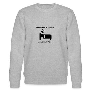 Newtons erstes Gesetz - Stanley/Stella Unisex Bio-Sweatshirt CHANGER  - Grau meliert - Vorne - Nik (191cm) & Marisol (170cm)