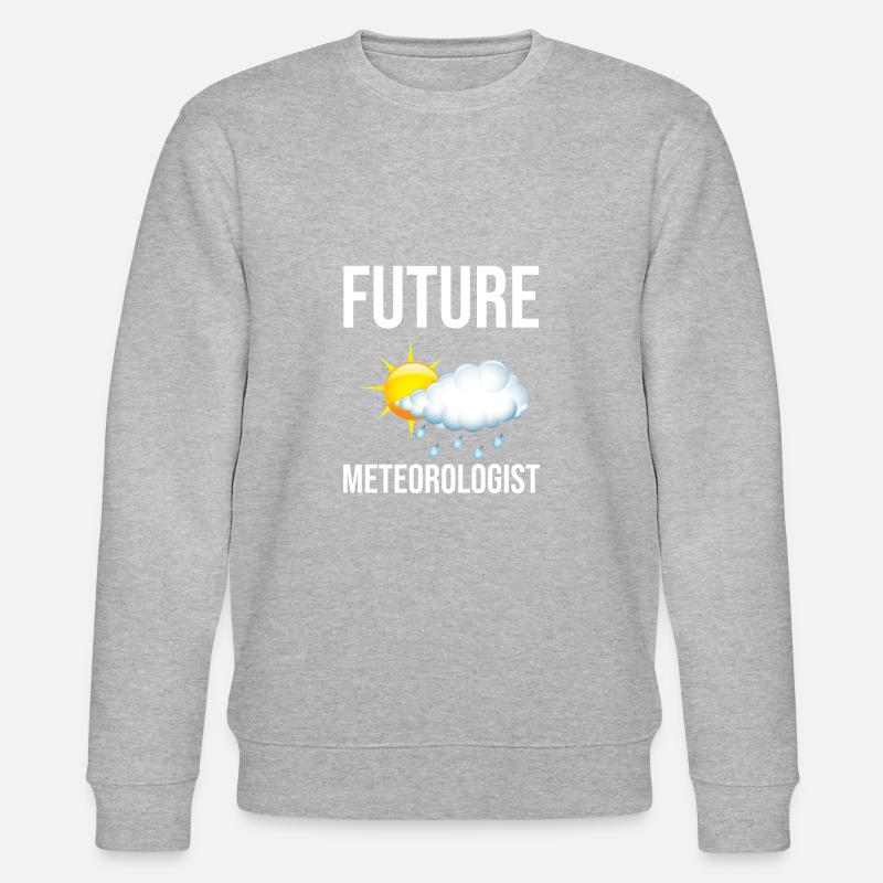 Futur météorologue - Sweat bio CHANGER Stanley/Stella Unisexe - gris chiné