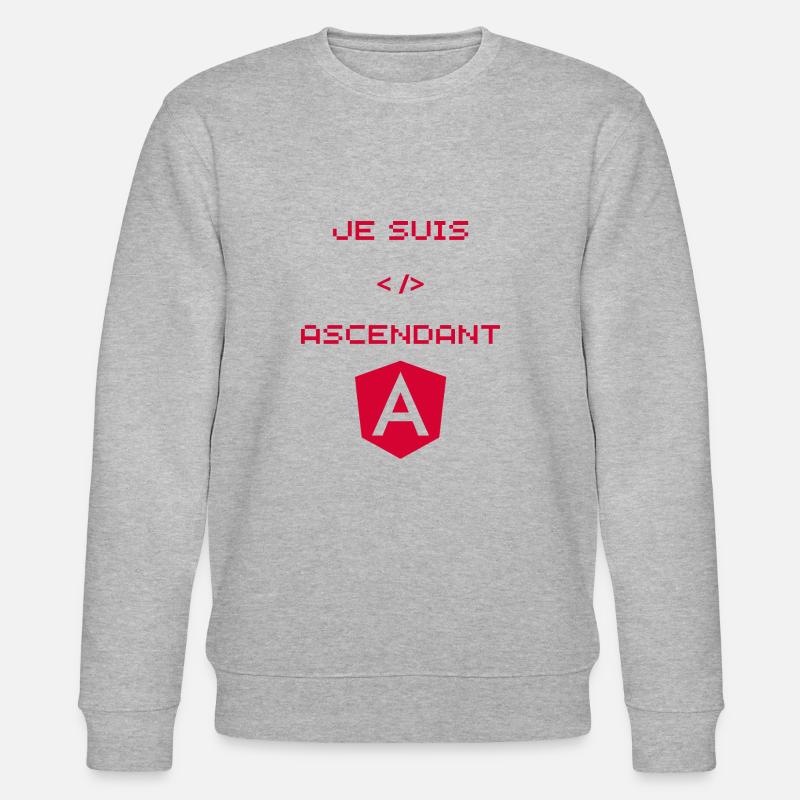 cadeau développeur angular - Sweat bio CHANGER Stanley/Stella Unisexe - gris chiné