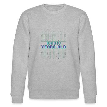 34th birthday 34 years old Binary Code Computer Science - Stanley/Stella CHANGER Unisex Organic Sweatshirt - heather grey - Front - Nik (191cm) & Marisol (170cm)