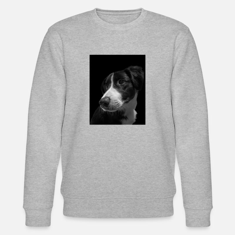 rek image 3319 - Stanley/Stella Unisex Bio-Sweatshirt CHANGER  - Grau meliert
