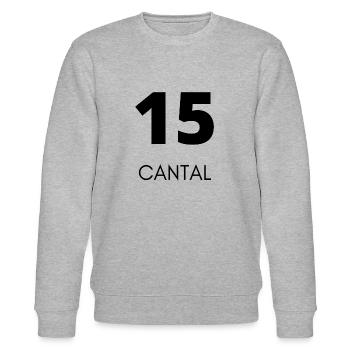 15 CHANTAL - Stanley/Stella Unisex Bio-Sweatshirt CHANGER  - Grau meliert - Vorne - Nik (191cm) & Marisol (170cm)