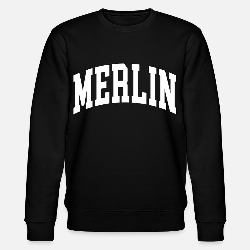 Faucon émerillon - Sweat bio CHANGER Stanley/Stella Unisexe - noir