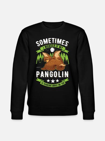 Pangolin cadeau Pangolin - Sweat bio CHANGER Stanley/Stella Unisexe - noir