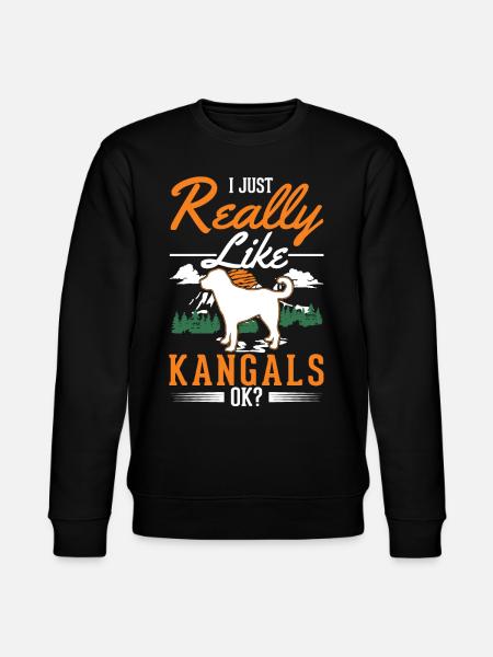 Kangal Hund Geschenk - Stanley/Stella Unisex Bio-Sweatshirt CHANGER - Schwarz
