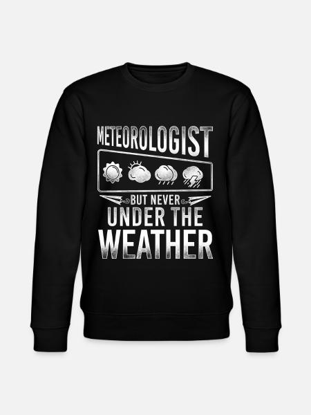 Meteorologist Weather Forecast - Stanley/Stella CHANGER Unisex Organic Sweatshirt - black
