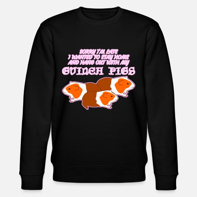 Cobaye - Sweat bio CHANGER Stanley/Stella Unisexe - noir