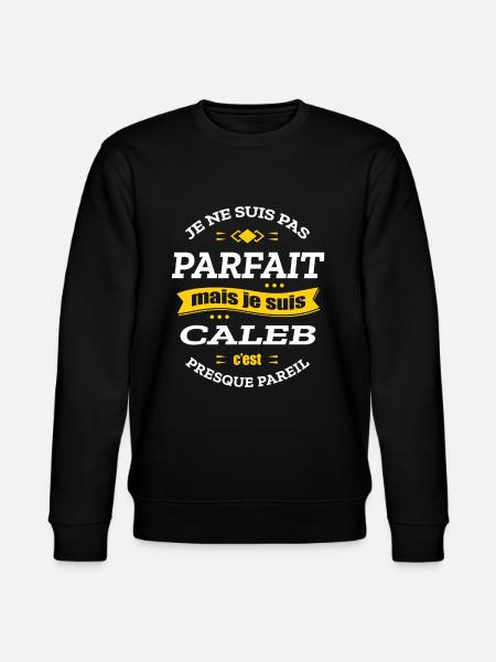 CALEB PARFAIT - PRENOM CALEB - Sweat bio CHANGER Stanley/Stella Unisexe - noir