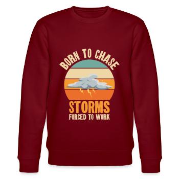 Storm Hunter Tornados Storm Chaser Cadeau - Sweat bio CHANGER Stanley/Stella Unisexe - bordeaux - Devant - Nik (191cm) & Marisol (170cm)