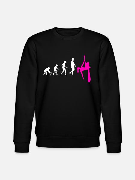 Aerial Silk Evolution - Aerial Circus - Stanley/Stella CHANGER Unisex Organic Sweatshirt - black