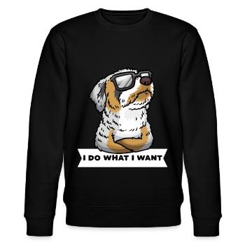 Aussiedoodle Hund Mit Sonnenbrille - Stanley/Stella Unisex Bio-Sweatshirt CHANGER  - Schwarz - Vorne - Nik (191cm) & Marisol (170cm)