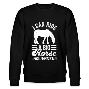 Clydesdale Reiter Für Zugpferdbesitzer - Stanley/Stella Unisex Bio-Sweatshirt CHANGER  - Schwarz - Vorne - Nik (191cm) & Marisol (170cm)
