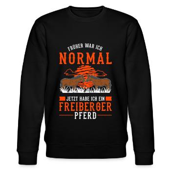 Freiberger Pferd Reiterin - Stanley/Stella Unisex Bio-Sweatshirt CHANGER  - Schwarz - Vorne - Nik (191cm) & Marisol (170cm)