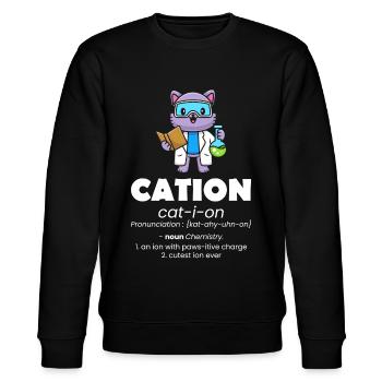 Kation, Kation, Chemie, Chemiker, Labor - Stanley/Stella Unisex Bio-Sweatshirt CHANGER  - Schwarz - Vorne - Nik (191cm) & Marisol (170cm)