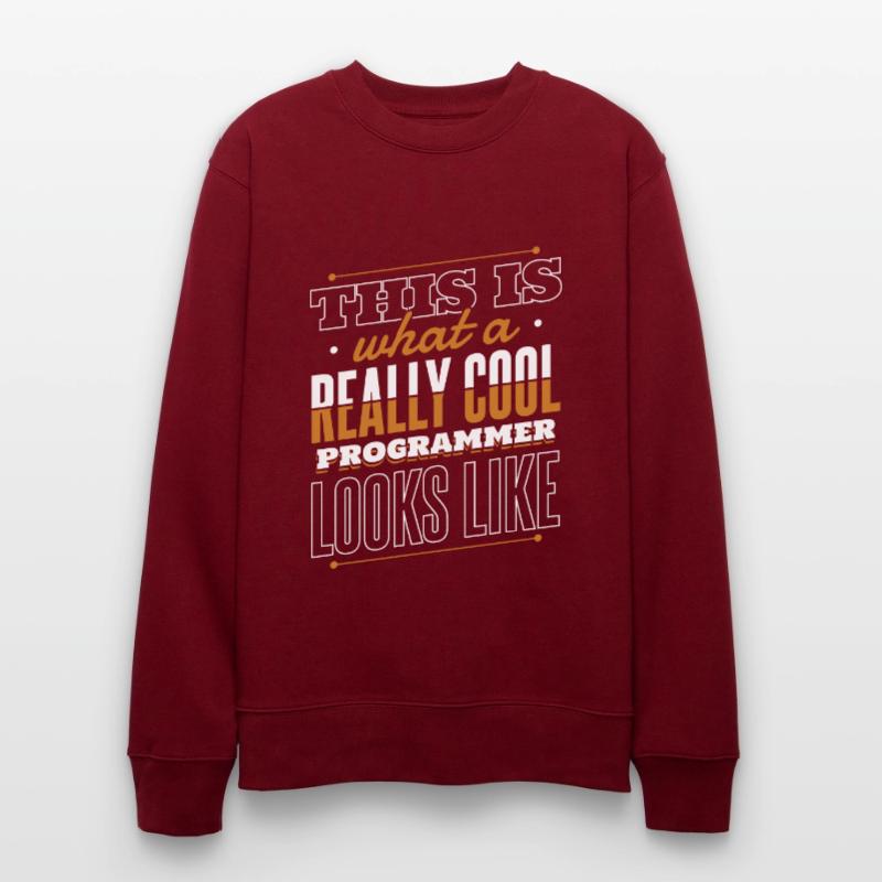 What A Really Cool Programmer Looks Like Coder Stanley/Stella Unisex Bio-Sweatshirt CHANGER 