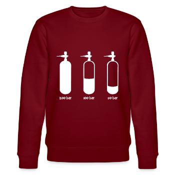 Gerätetauchen Tauchen - Stanley/Stella Unisex Bio-Sweatshirt CHANGER  - Burgunderrot - Vorne - Nik (191cm) & Marisol (170cm)
