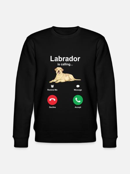 Labrador - Sweat bio CHANGER Stanley/Stella Unisexe - noir