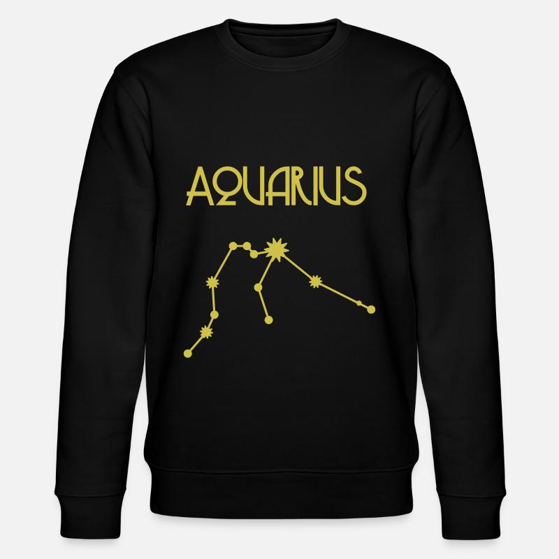 Verseau Verseau Cadeau Starsign - Sweat bio CHANGER Stanley/Stella Unisexe - noir